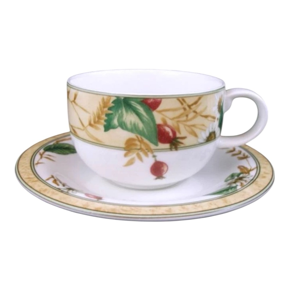 Royal Doulton Edenfield Cup & Saucer Discontinued